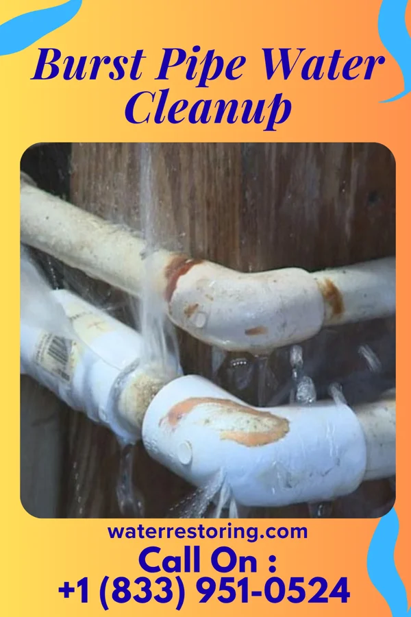 Burst Pipe Water Cleanup in Albany, NY