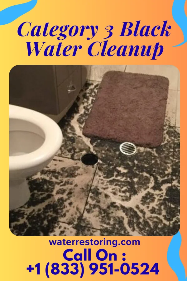 Category 3 Black Water Cleanup in Albany, NY
