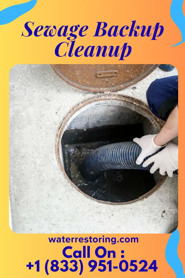 Sewage Backup Cleanup in Albany, NY