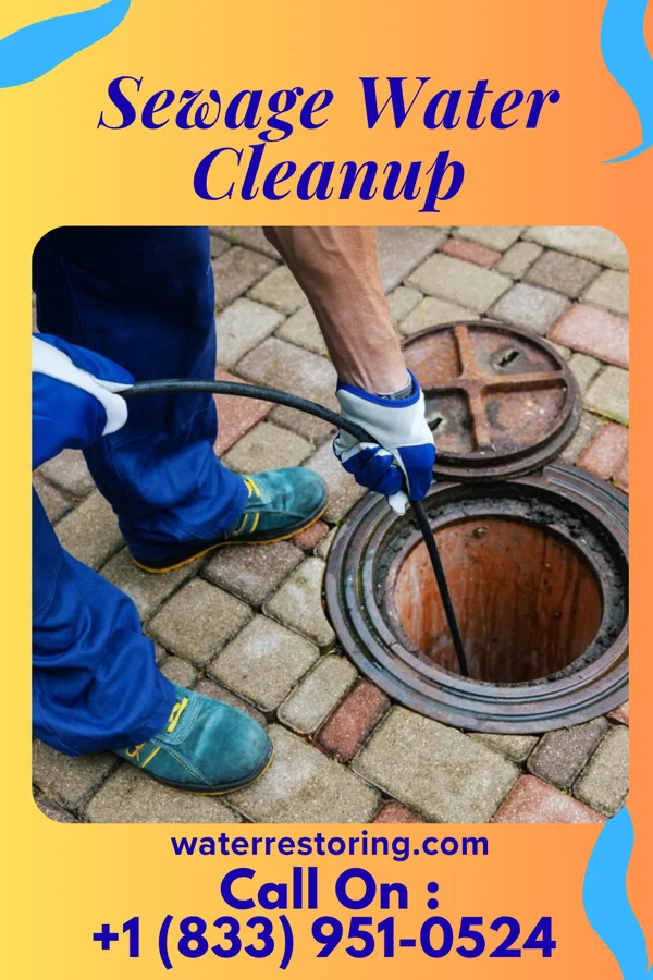 Sewage Water Cleanup in Albany, NY