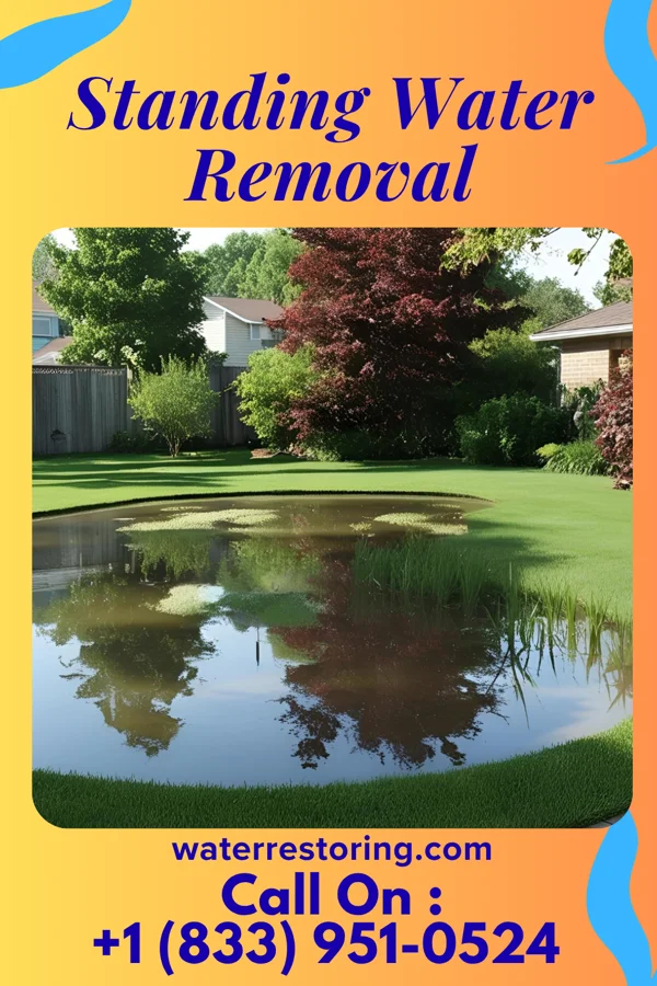 Standing Water Removal in Albany, NY